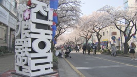 제주시 첫 골목형상점가 함덕4구·전농로 지정.. 혜택은?