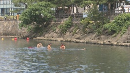 제주 물놀이 명소 월대천 오늘 개장.. 안전관리  강화