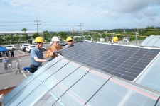 제주, 전국 첫 태양광 감귤 실증 착수
