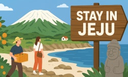 “중앙이 기준이던 시대는 끝났다”… 제주 민박, 새 판  짠다