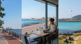 “김녕의 바람에서 리플로우의 결론까지”… 일본은 그 72시간에서 ‘제주의 시장’을  확인했다