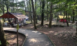 서귀포시, 서귀포자연휴양림 무장애나눔길 조성 완료