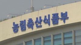 제주 쉰다리 전통식품 품질인증 대상 선정