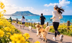 “제주 해안 13km를 반려견과 달린다… 봄 제주에 열린 러닝  여행”