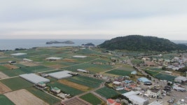 제주시 마을 단위 농산물우수관리 인증 속도