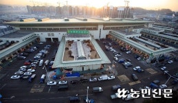 강서시장 시장도매인 불법거래 만연…2년간 638억 달해