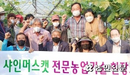‘샤인머스캣’ 포도 품질 고급화로 농가소득 높인다
