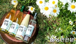 [우리 술 답사기] 계절마다 ‘한잔’, ‘춘하추동’ 닮은 전통주