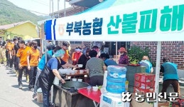‘밀양산불’ 인명·민가 피해 전무, 하나로 뭉친 ‘민관군’ 빛났다