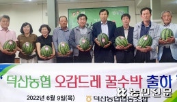 “엄선한 ‘생거진천 오감드레’ 꿀수박 나갑니다”