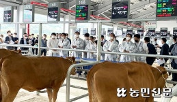 전남 첫 ‘스마트 가축시장’ 활짝