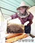 [가족농 열전 백년농부] 벌 키우고 카스텔라 만들어 매출 ‘붕붕’
