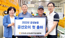충북 제천 금성농협, 오이공선회 첫 출하…“품질 향상”