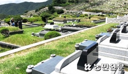 “가짜꽃 사라지니 깔끔”…성묘객 ‘환경보호’ 취지 공감
