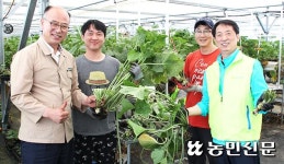 농협중앙회 신용보증업무부, 고추냉이 농가서 일손 도와