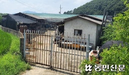 [단독] 가전법 시행령 수정안, 농장폐쇄 기준 완화했지만…축산업 위축 우려 여전