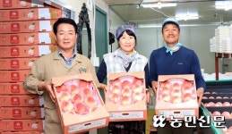 “새콤달콤 옥천 복숭아 드세요”
