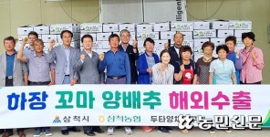 대만 가는 ‘꼬마 양배추’…200t 수출 계약