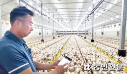 하루 세번 농장 순회…“닭 9만마리 관리 혼자서도 충분해요”