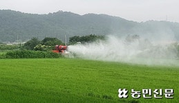 경기 파주 광탄농협, 280농가 벼 병충해 공동방제