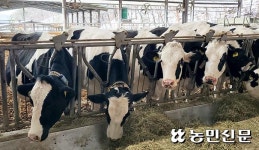 낙농제도 개편 한고비 넘겼지만…원유값 조정 갈등 ‘불씨’