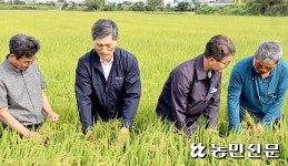 동읍농협, 벼 드문모심기 확산 앞장