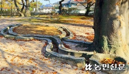걷기 좋은 전국 왕릉길 5선