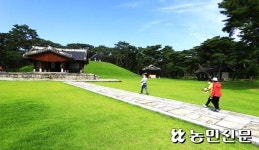 걷기 좋은 전국 왕릉길 5선