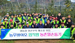 강원 평창농협, 사과농가서 합동 일손돕기