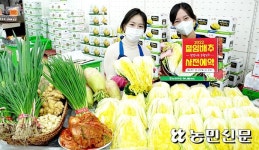 고물가시대 김장 걱정에…날개 돋친 ‘절임배추’