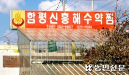 [함평 명소&맛집] ‘한옥마을’서 감성충전 ‘한우육회’로 원기회복