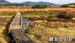 [함평 명소&맛집] ‘한옥마을’서 감성충전 ‘한우육회’로 원기회복