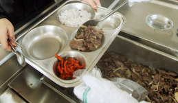 수입쇠고기 대신 한우 쓰면 차액보전 추진