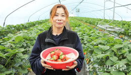 [NBS 하이라이트] 딸기 재배해 연매출 1억7000만원