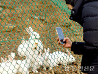 [토끼의 해 밝다] 토끼와 거북이 보이시나요? ‘별주부전 고향’ 사천 비토섬을 가다