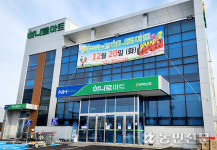 만성적자 하나로마트, 미운 오리서 백조로