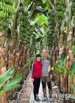 [한국농업 희망일기] 바나나·애플망고 맨땅에 도전…“이젠 저만의 비결 생겼죠”