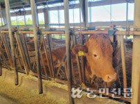 한우협 “사료업계, OO사료처럼 사료값 인하 나서라”