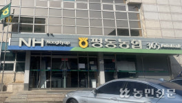 광주광역시 평동농협, 전체 조합원 대상 단체상해보험 가입 지원