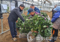 제주 서귀포 남원농협, 우수 감귤 묘목 공급 박차