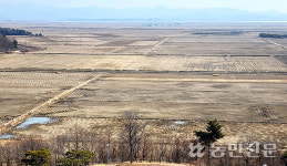 천수만 간척지 쌀 대신 태양광 점령 위기…주민들 ‘생존 투쟁’