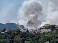 [속보] 서울 종로 인왕산서 화재…산불 1단계 발령(2보)