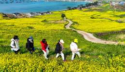 청산도 명품길서 파도 듣다 목섬서 ‘별 볼 일’ 찾을까