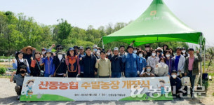 구미 산동농협 무료로 주말농장 분양 호응