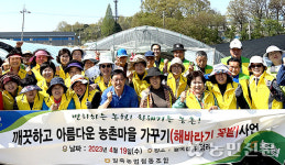 경기 안성 일죽농협, ‘해바라기 마을’ 만들기 시작