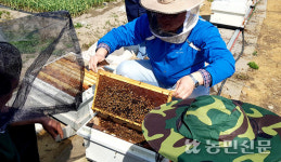 양봉농가 경영 안정 위해 250억 지원