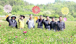 “작약 주산지 ‘영천’…꽃구경하러 축제오세요”