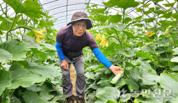 “4종 비료로 무름병 ‘싹’ 잡아”