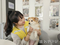 [나도 선생님] “사랑을 줘야 하는 건 동물도 똑같아요” 애견유치원 교사 김진영씨