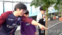 [NBS 하이라이트] ‘공기정화’ 유칼립투스 재배 고명신씨